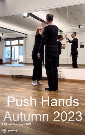 bewegtes Push Hands 2023